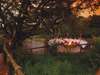 Tuningi Safari Lodge - Boma
